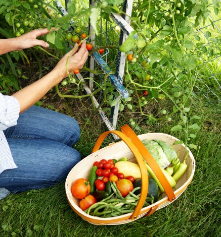 Mother and Son Veg Tales