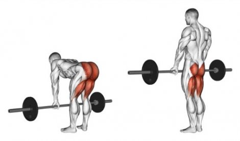 Exercise of the month - Romanian Deadlift