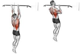 Eccentric Chin Ups - Exercise of the month