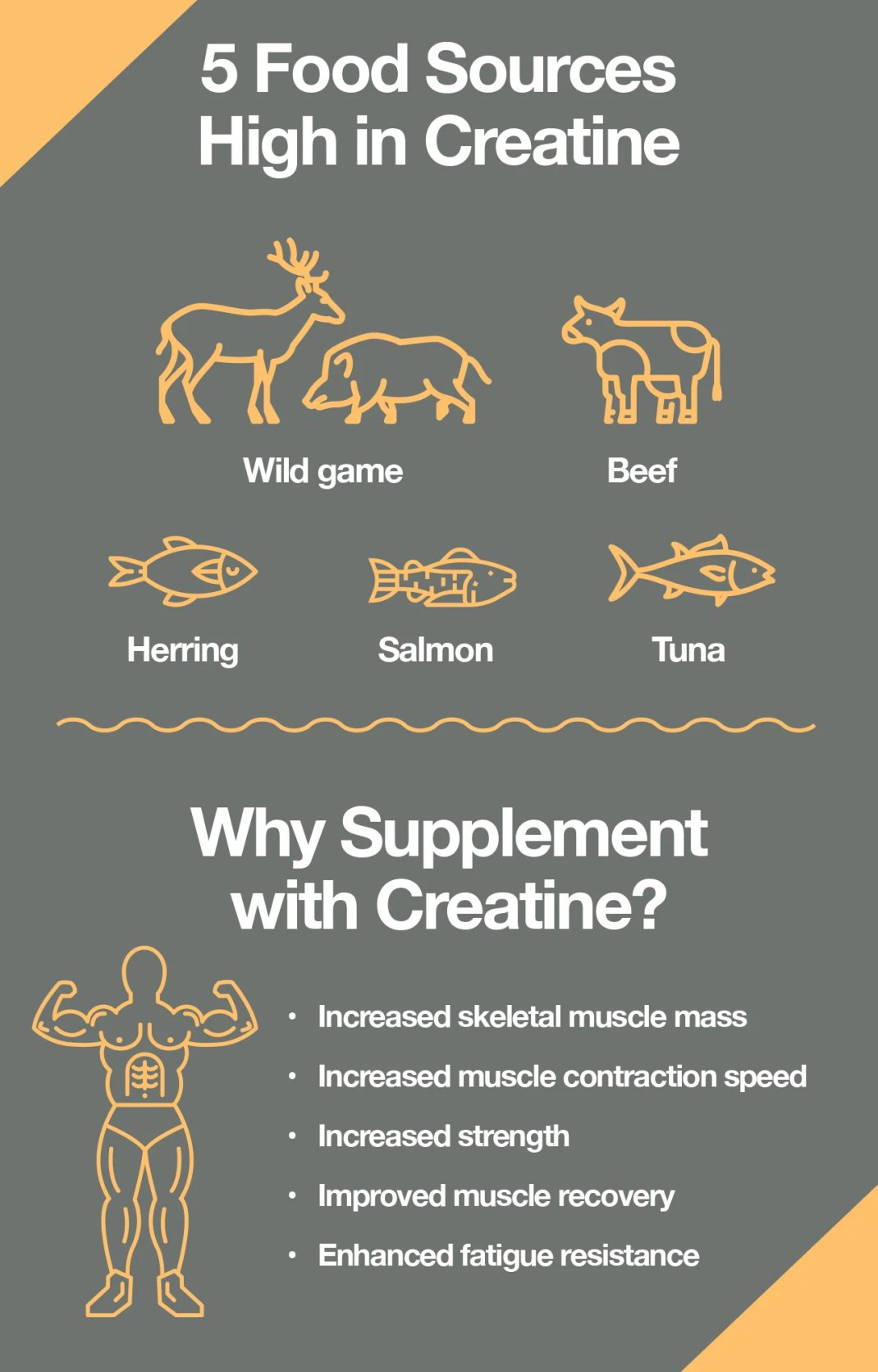 Should you take creatine?