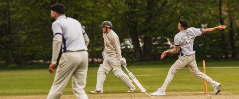 Cricket